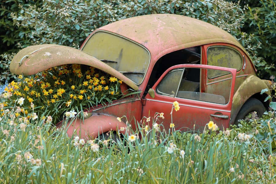Photo accidental insurance policy
